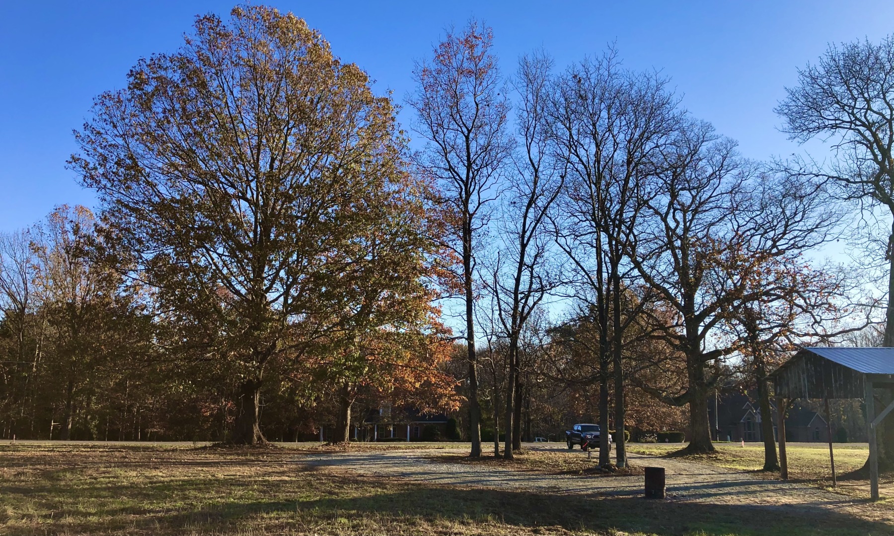 Willow Oaks | Oak Ridge, NC | Lot 3 Willow Oaks | Oak Ridge, NC | Lot 3